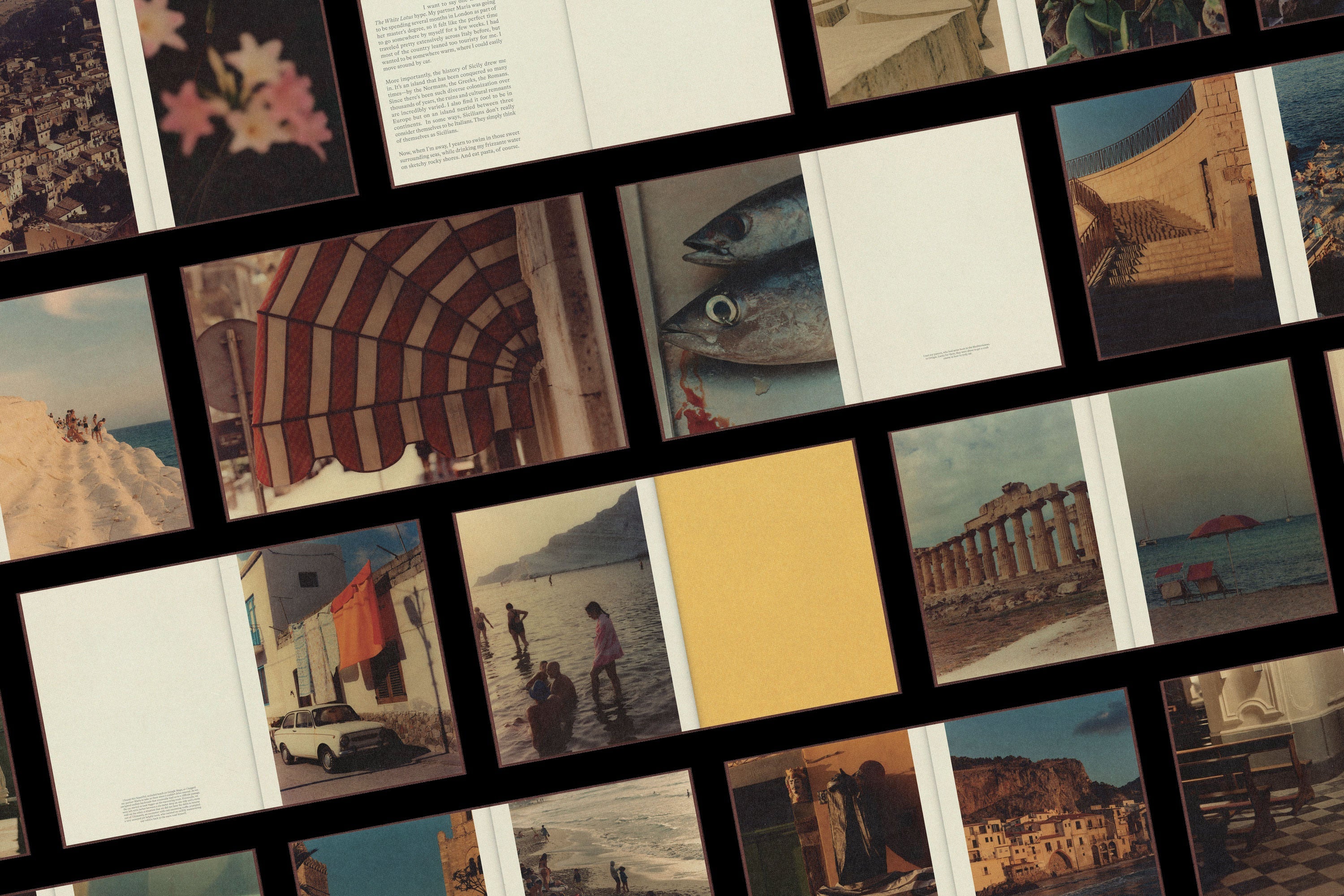 Sicily - Armin Tehrani