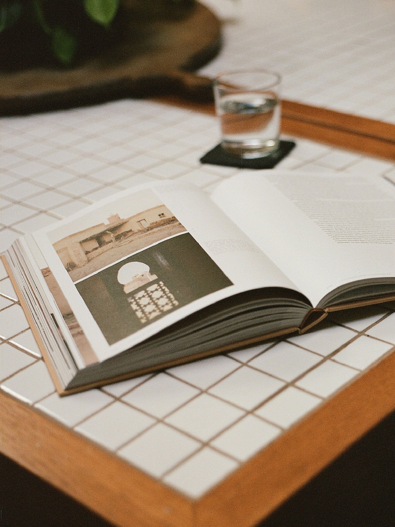 Desert by Design - James Burke, Molly Mandell