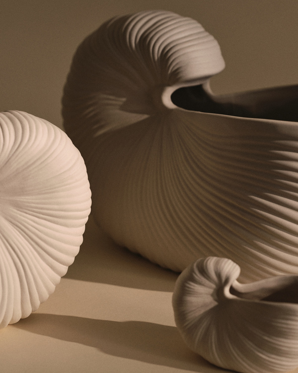 Shell Pot Medium - Off-white