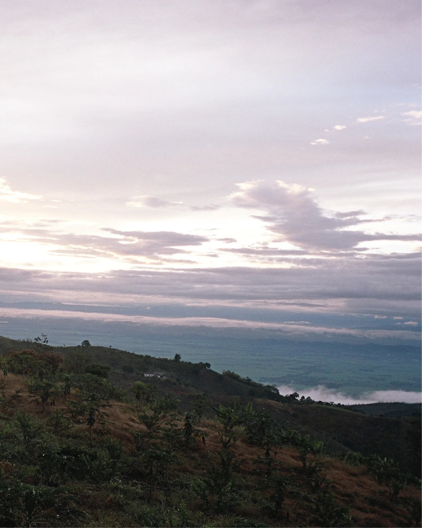 Monkaaba - La Cabra