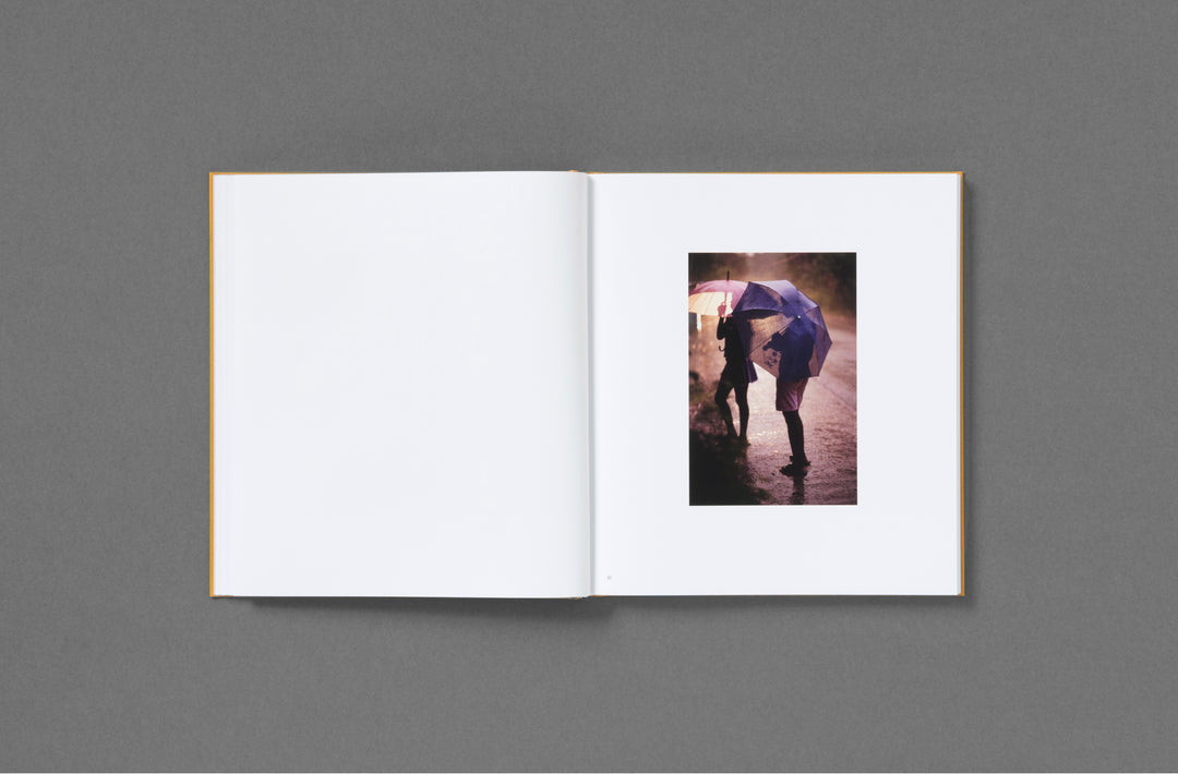 Impossible Island - Henry Roy