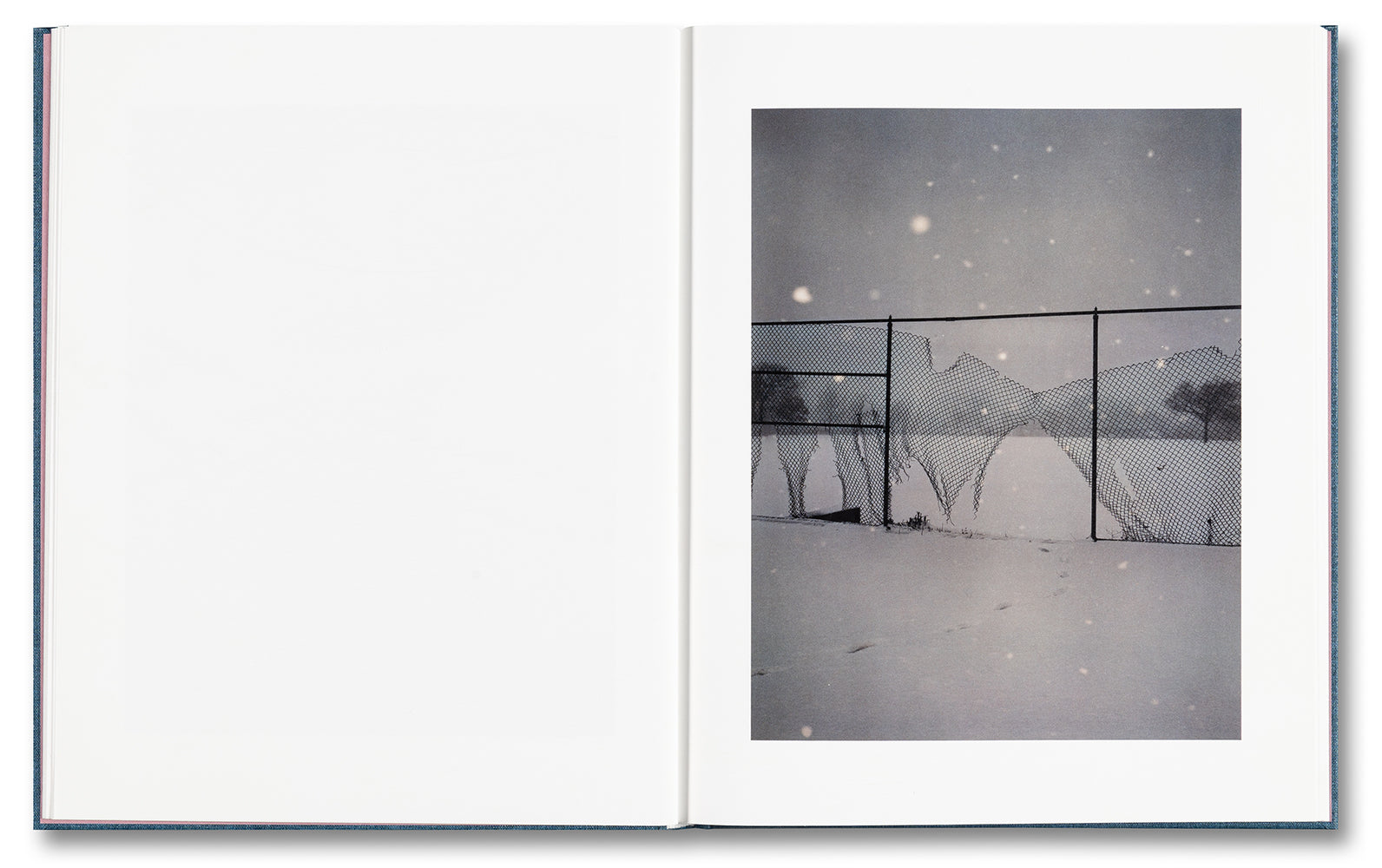 King, Queen, Knave - Gregory Halpern