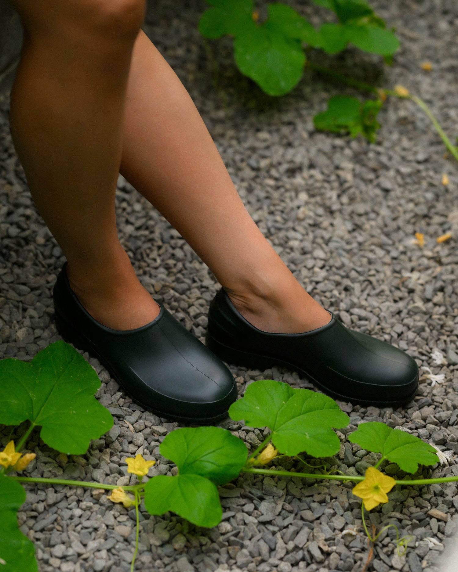 Plasticana Gardenia Clog - Vert