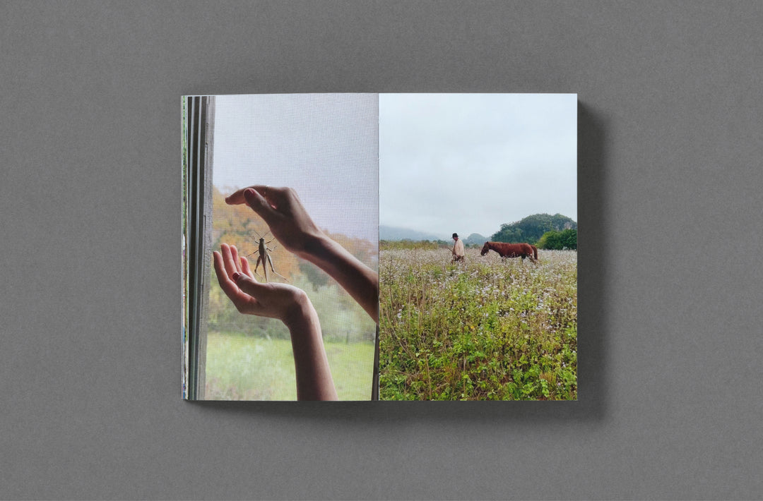 Somewhere 2017–2023 - Sam Youkilis