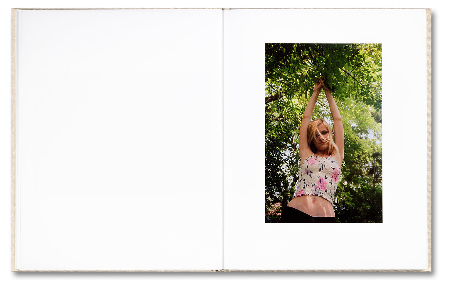 The Virgin Suicides - Sofia Coppola