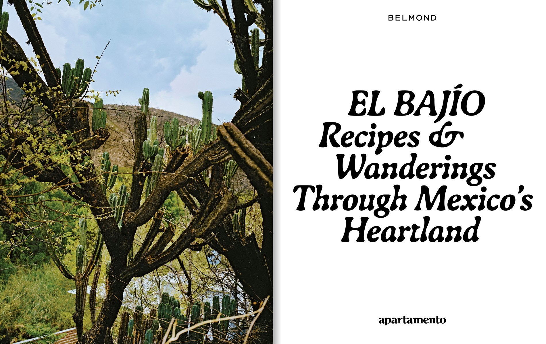 El Bajío: Recipes & Wanderings Through Mexico’s Heartland