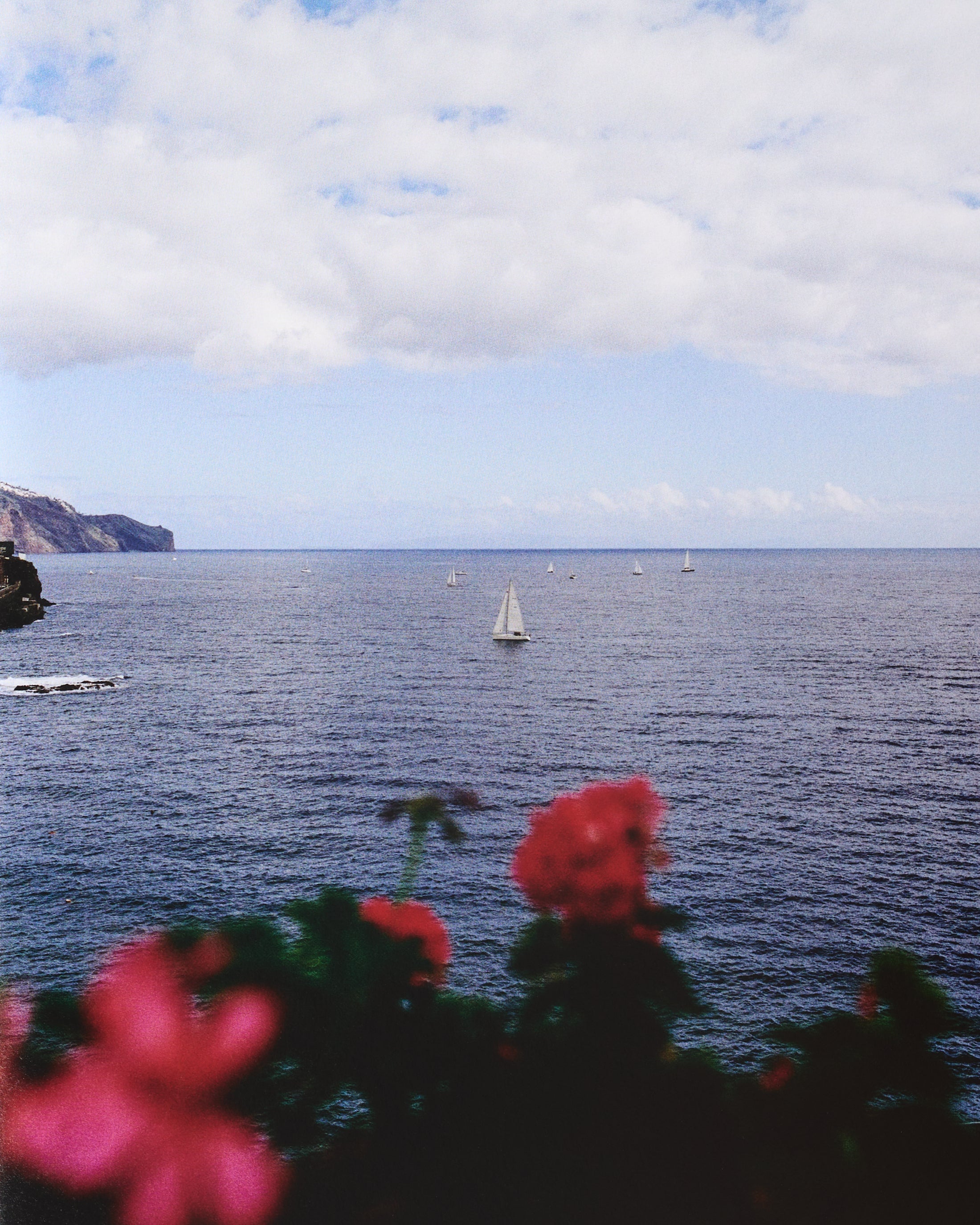 Madeira: Recipes & Wanderings