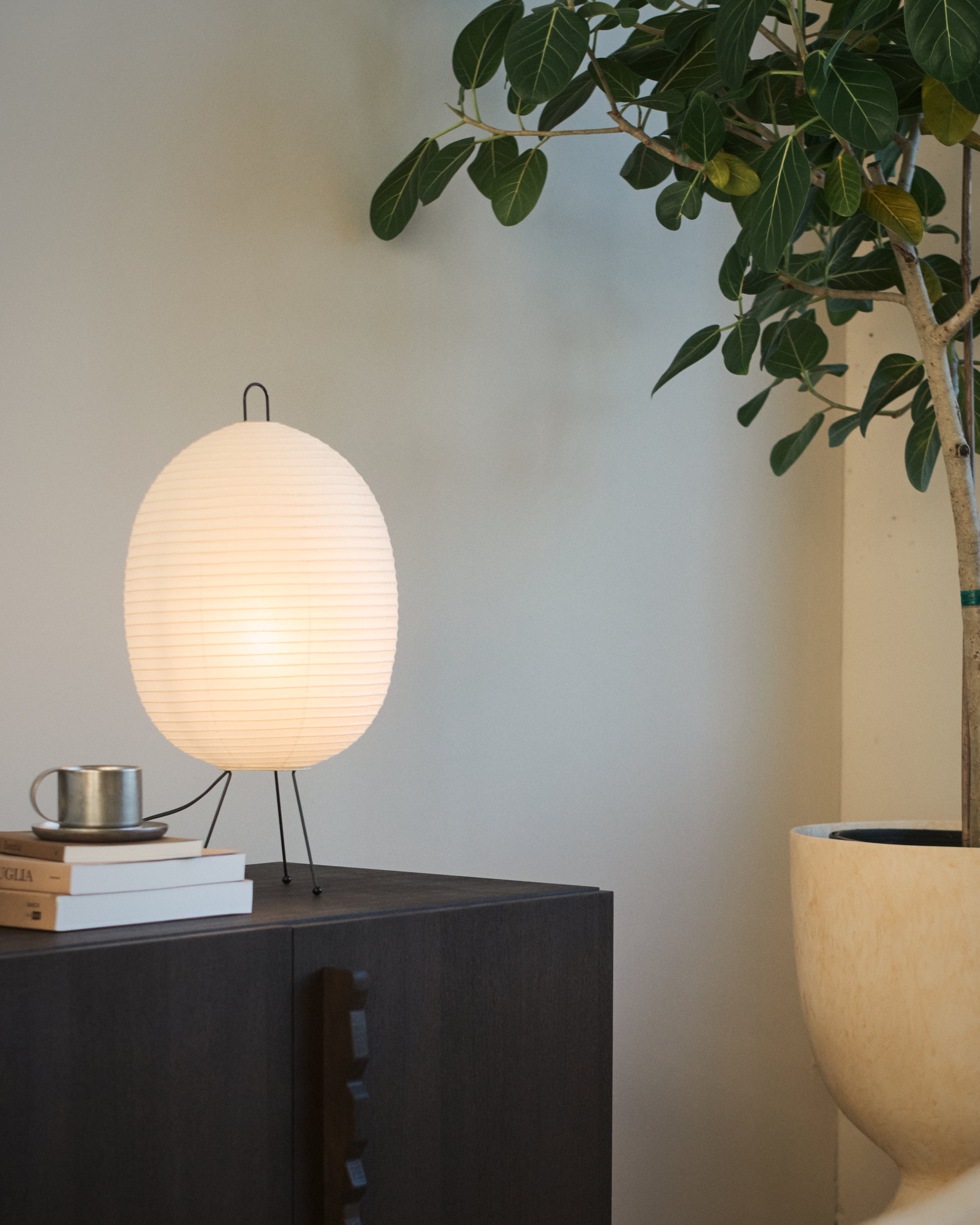 Chochin Lamp 02 - Tawara