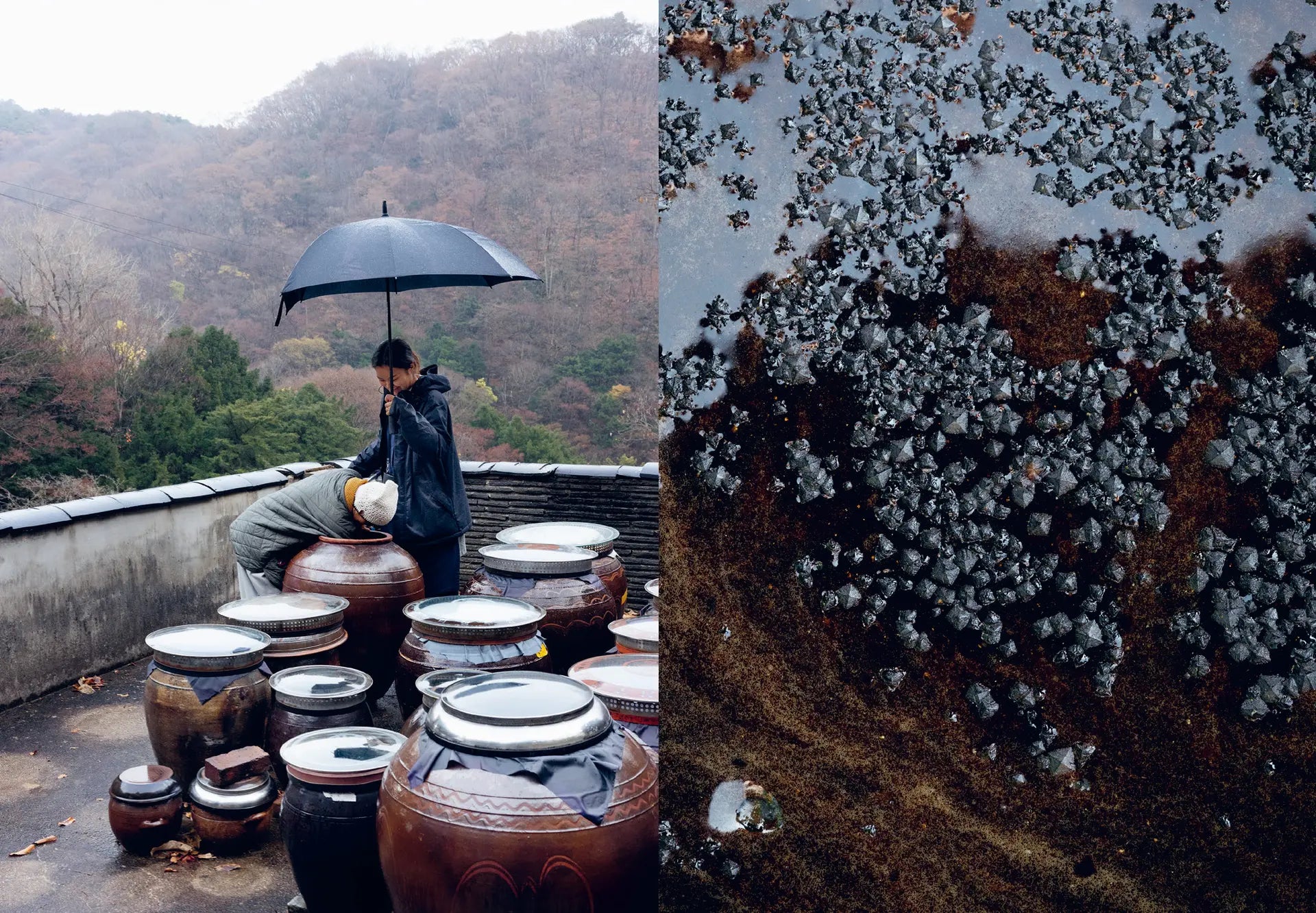 Korean Temple Cooking - Dr. Hoo Nam Seelmann
