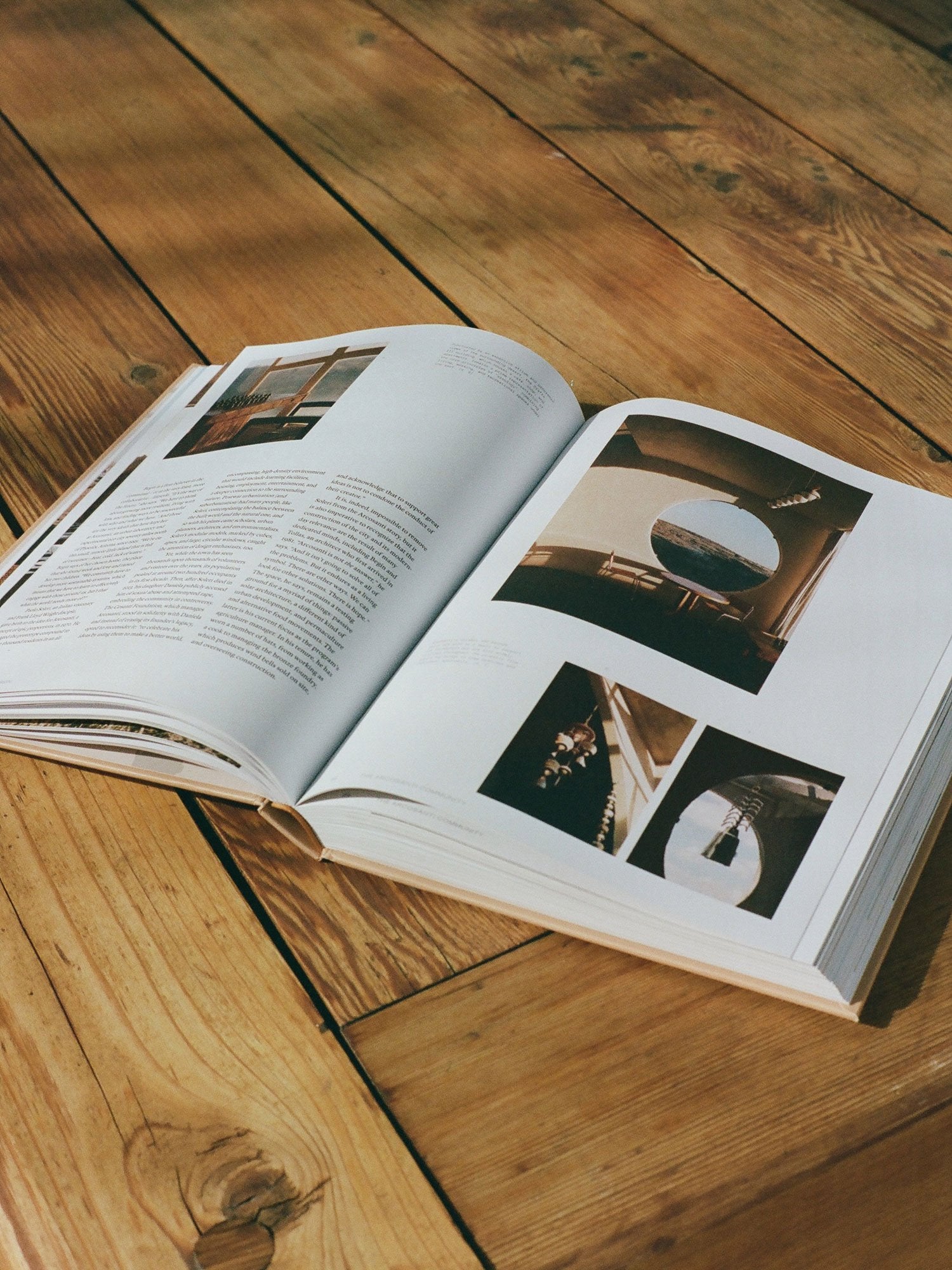 Desert by Design - James Burke, Molly Mandell