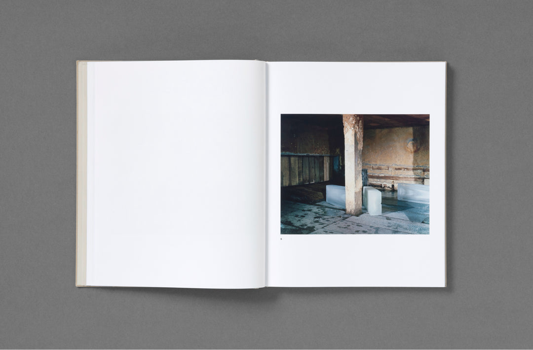 Bravo - Felipe Romero Beltrán