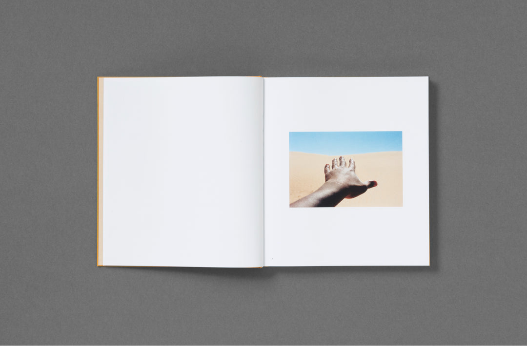 Impossible Island - Henry Roy