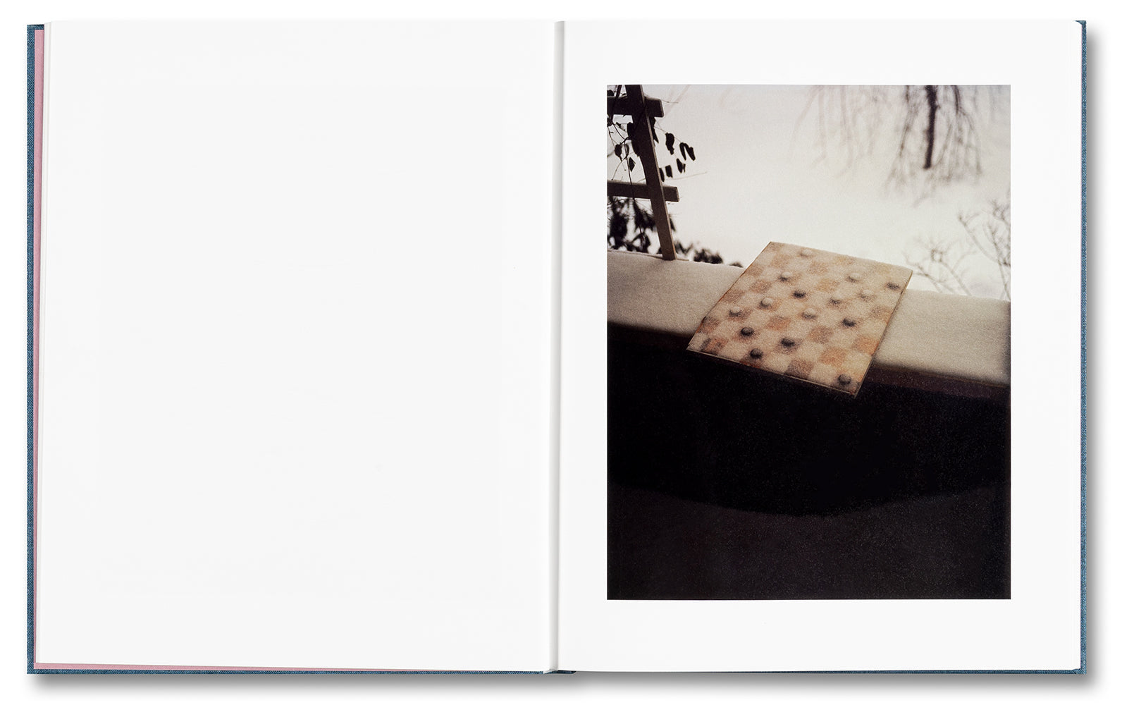 King, Queen, Knave - Gregory Halpern