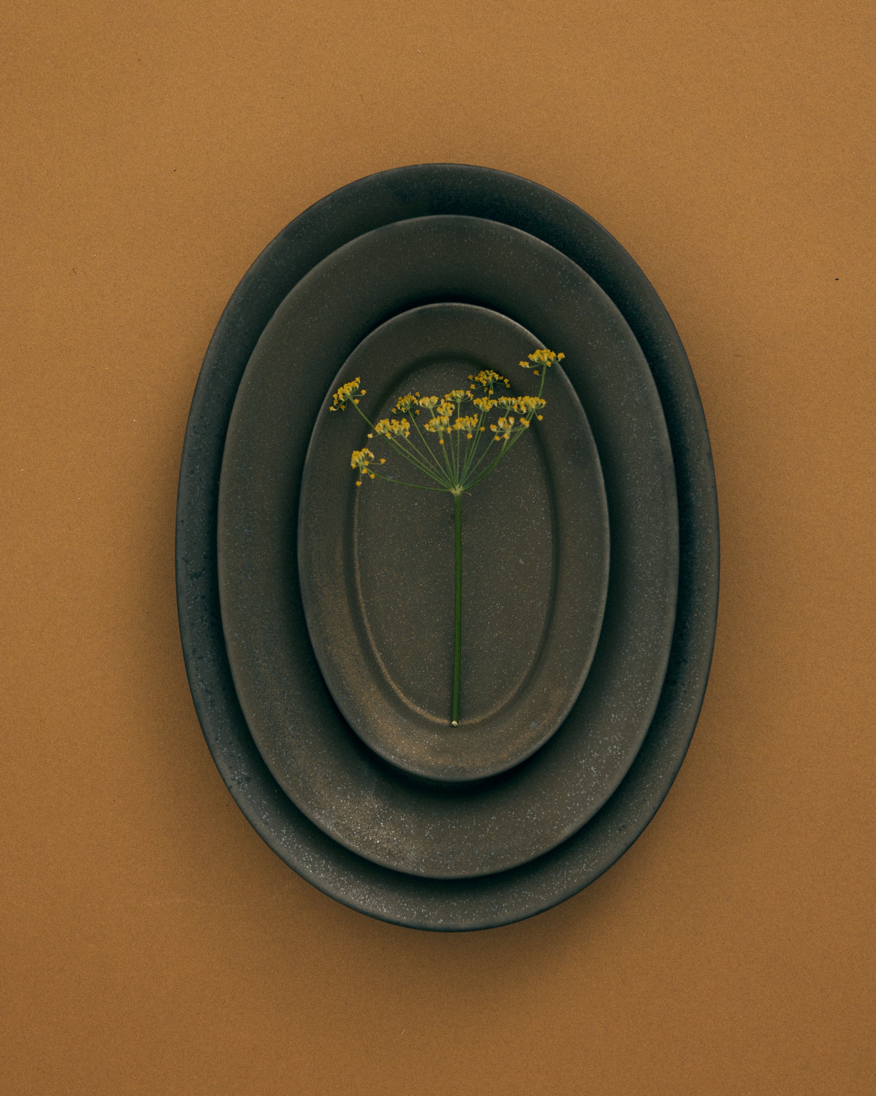 Rim Oval Plate Large - Copper Brown