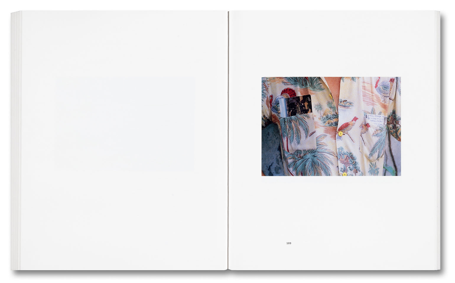 Luigi Ghirri: Viaggi (English Edition)